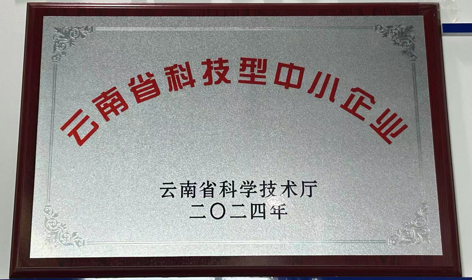 我司荣获“云南省科技型中小企业”称号，科技创新实力获官方认可